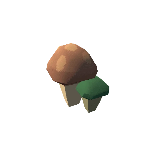 FOL_Mushrooms_02