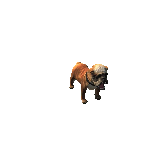 Bulldog_Highpoly