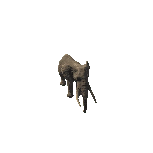 elephant_ii_sv_rm_SLP_mat2