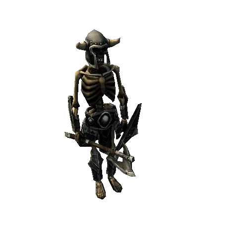 Skeleton_D