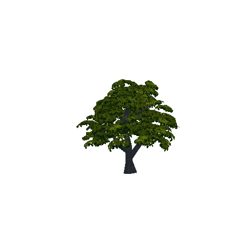 tree1