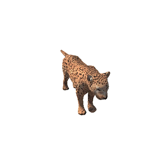 Leopard_SV_RM_LP