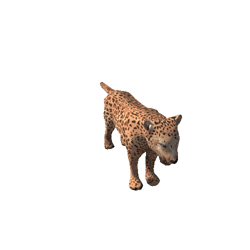 Leopard_SV_RM_SLP