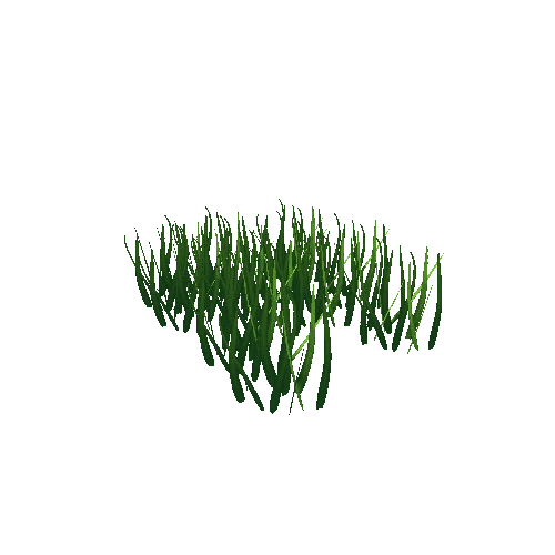 grass1