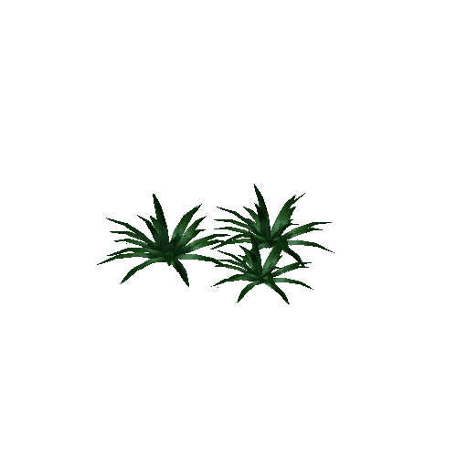 plant4