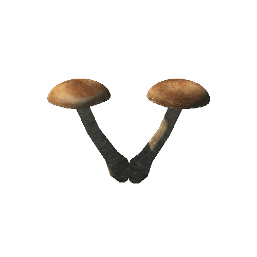 shroom2