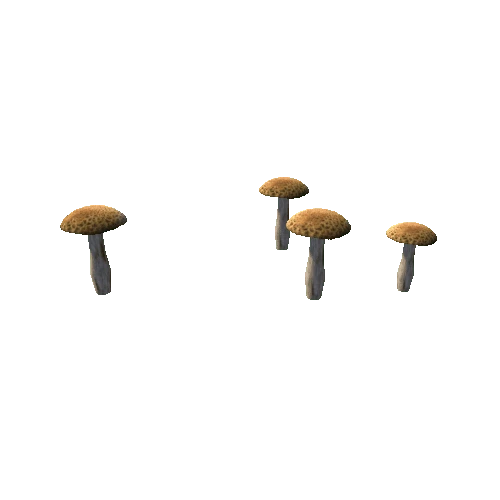 shroom3