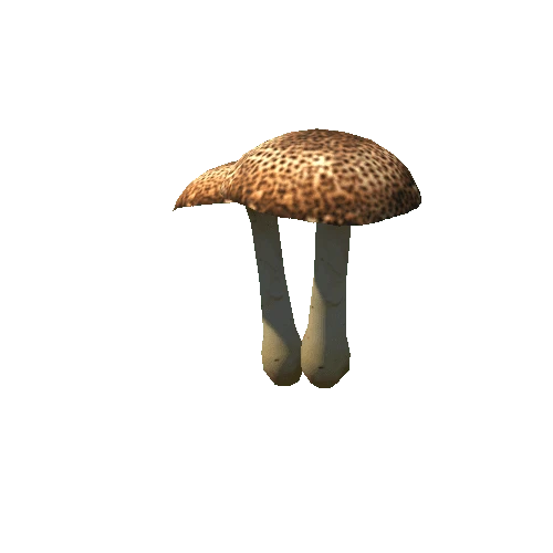 shroom4