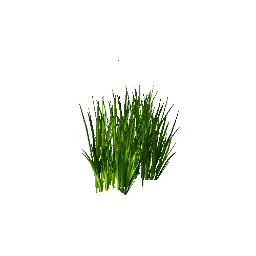 grass2