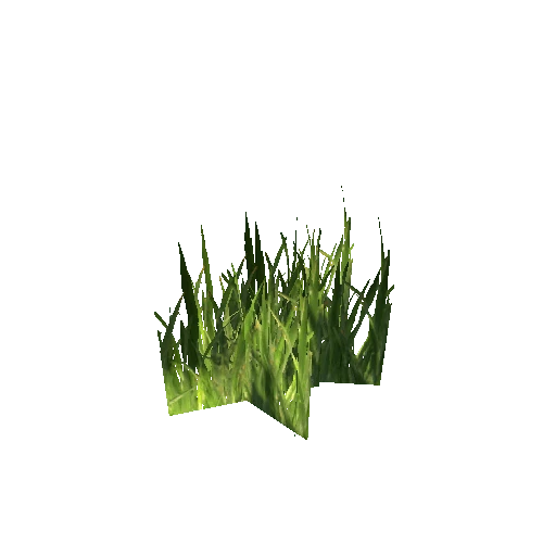 grass6