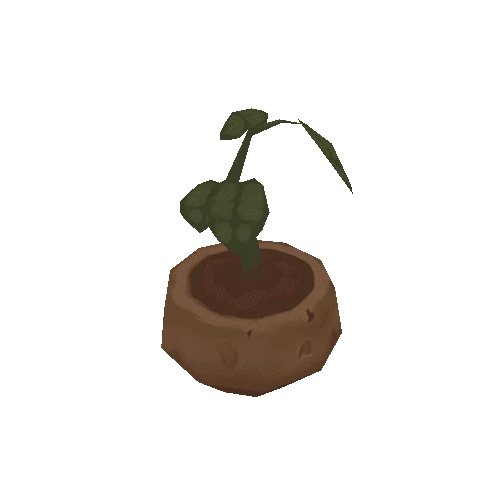 Plant_01