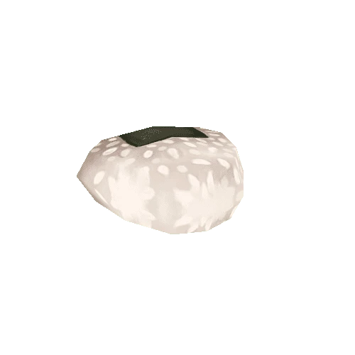 RiceBall