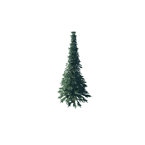 fir_tree