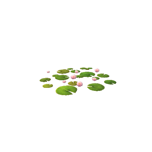 waterlily01