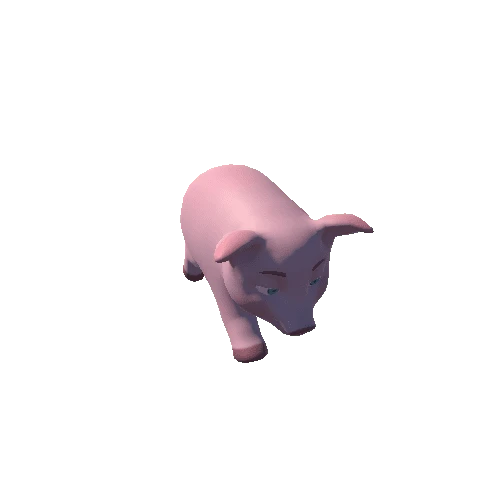 Pig