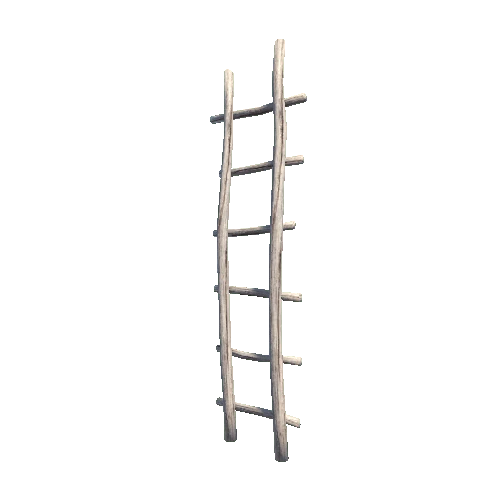 ladder