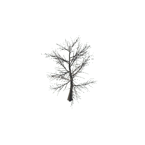 SM_Tree_Flatland_10