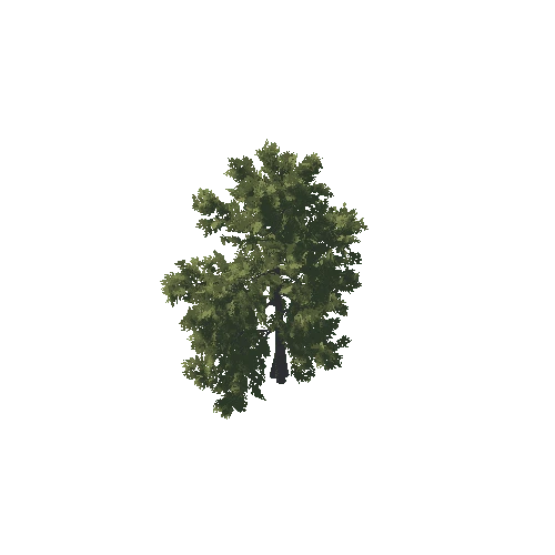 SM_Tree_Flatland_11