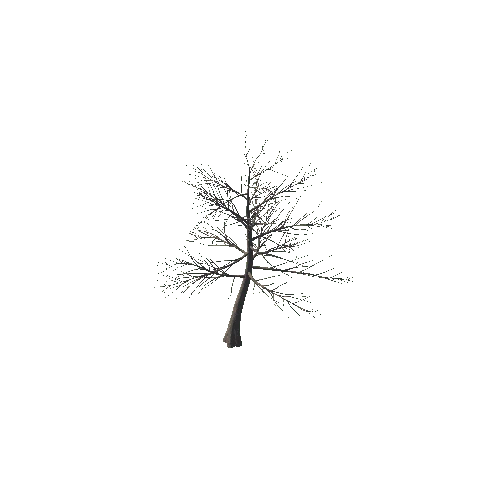 SM_Tree_Flatland_20