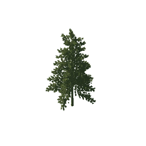 SM_Tree_Hilltop_01