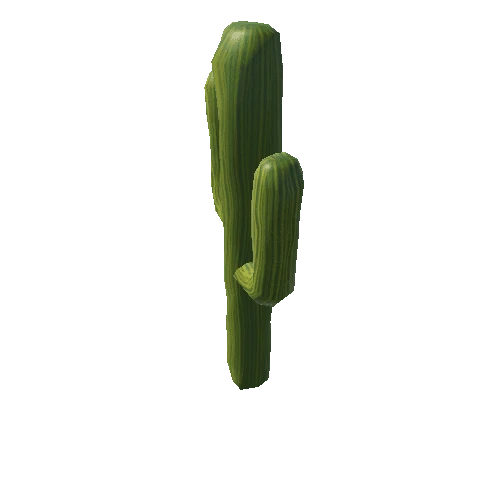 cactus2