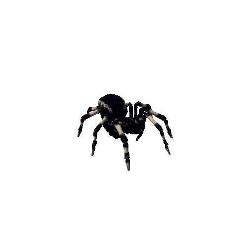 spider_die_008