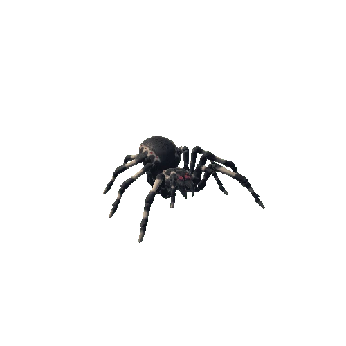 spider_hi_004