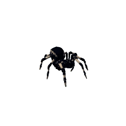 spider_idle_002