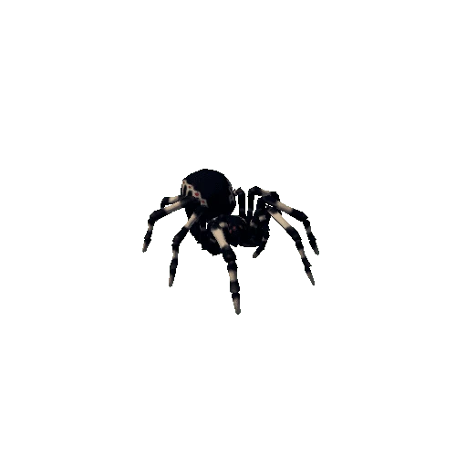 spider_rear_002