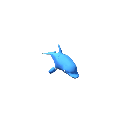 dolphin_1