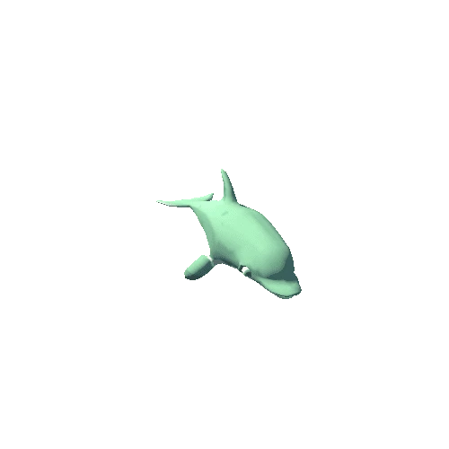 dolphin_4