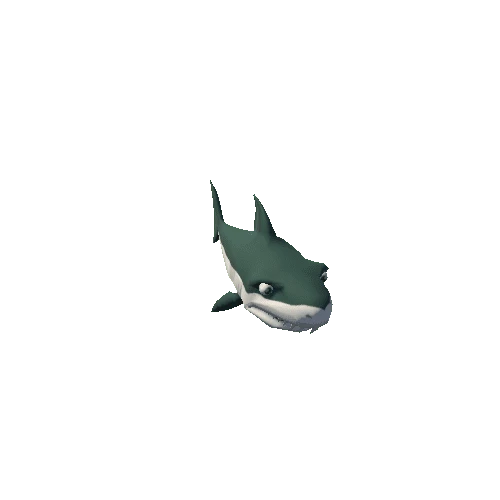 shark_2