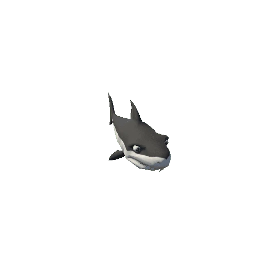 shark_5