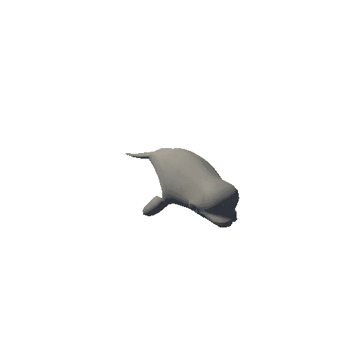 white_whale_2