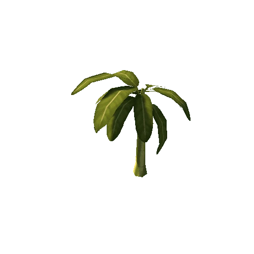 Tree_Banana_01
