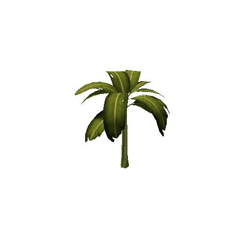 Tree_Banana_02