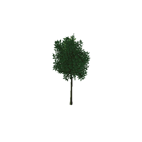 SFNature_TreeGeneric_02