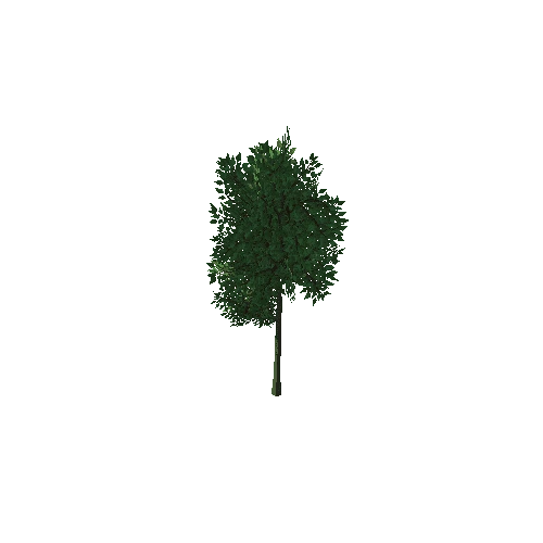 SFNature_TreeGeneric_03