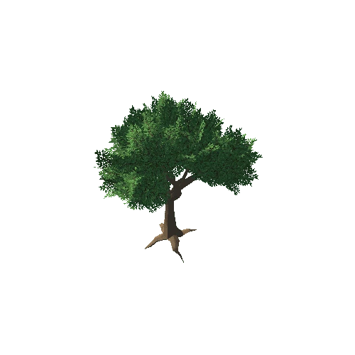 SFNature_TreeGiant_01
