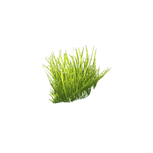 Grass_patch_v1