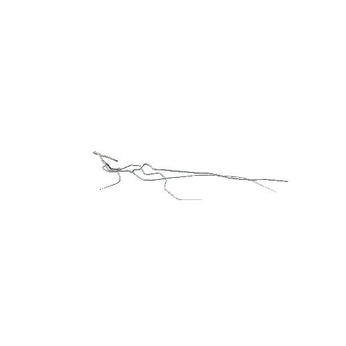 Branch_03