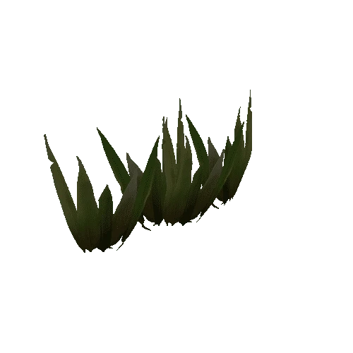 Grass_Thick_Dry_02