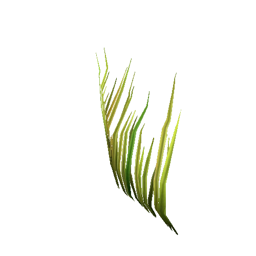 Grass_Thin_01