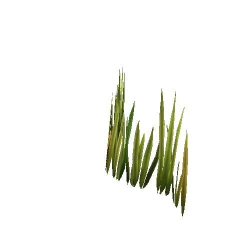 Grass_Thin_02