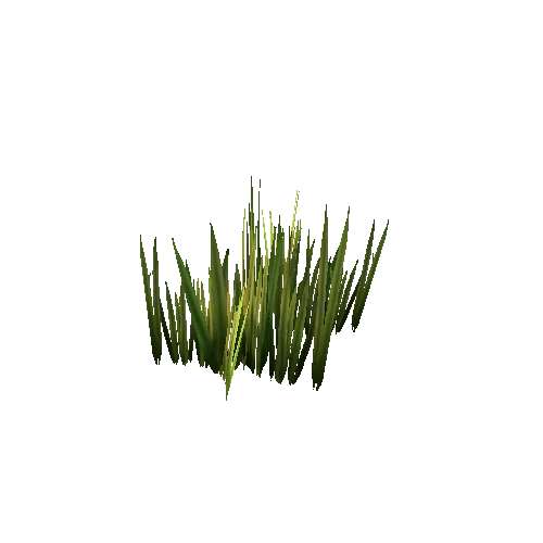 Grass_Thin_04