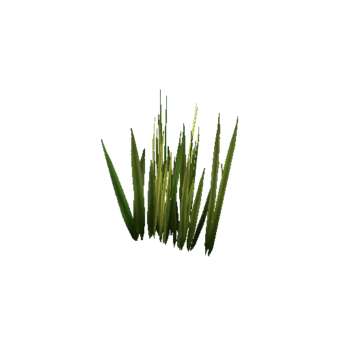 Grass_Thin_05