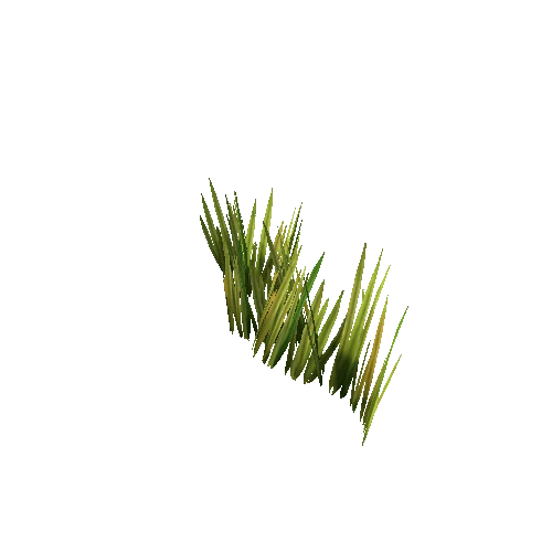 Grass_Thin_06