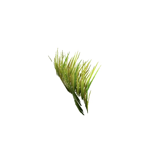 Grass_Thin_07