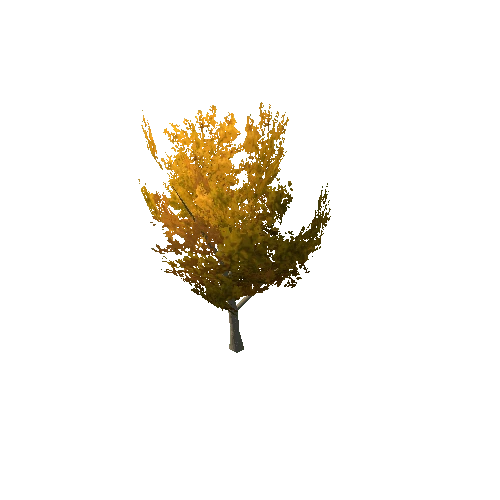 Tree_02_A