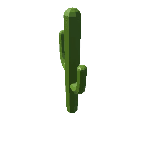 cactus_01